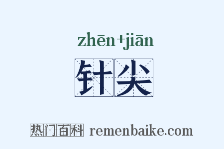 针尖是什么意思的图片